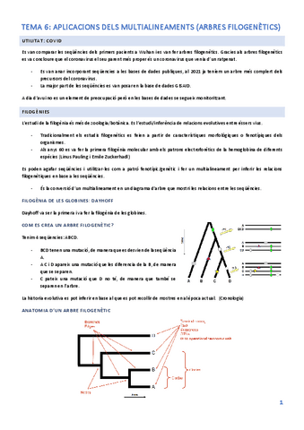 TEMA-6-2.pdf