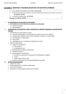 TEMA6_DERECHO_PENITENCIARIO_ANDREA.pdf