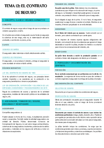 TEMA-12-MERCANTIL.pdf