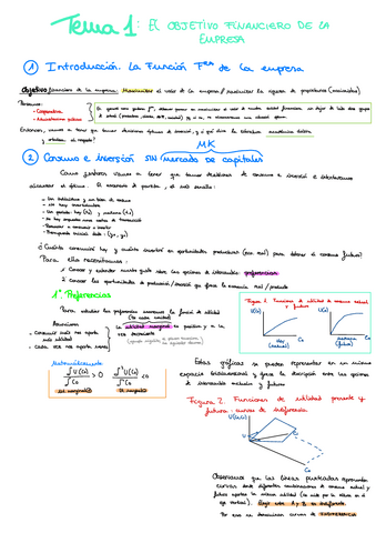 Tema-1-IFE.pdf