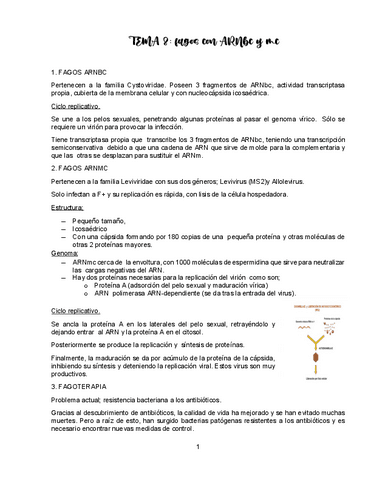 TEMA-8-VIROLOGIA.pdf