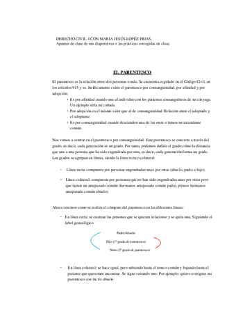 Apuntes-Practicas-civil-IV.pdf
