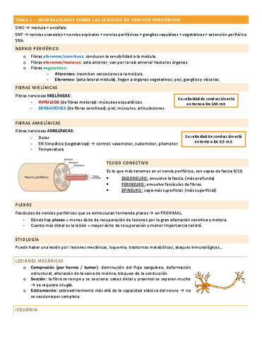 Temario-FEC-SNP-Arguisuelas.pdf