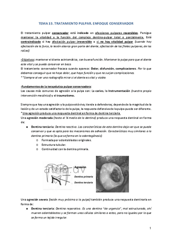 Tema-13.pdf