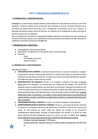 TEMA-19.pdf