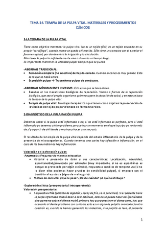TEMA-14.pdf