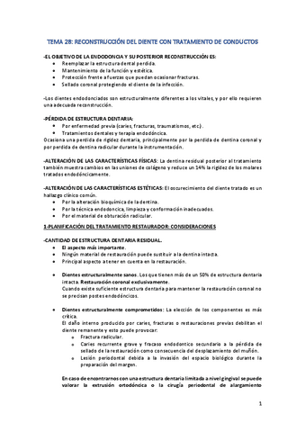 tema-28.pdf