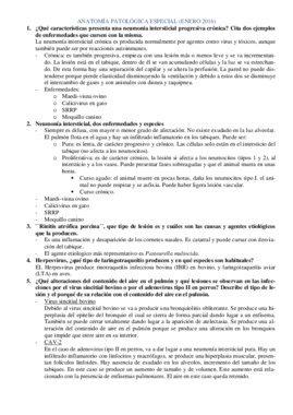 Examen Enero 2016 APE contestado.pdf