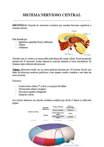 SISTEMA-NERVIOSO-CENTRAL.pdf
