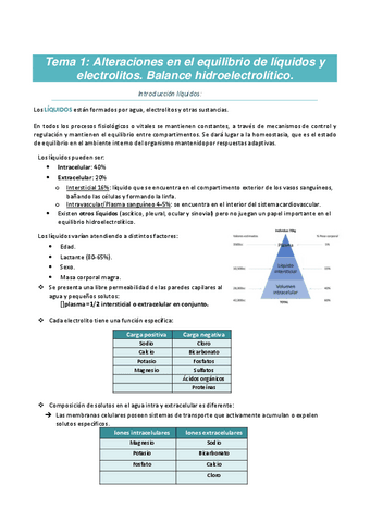 Adulto-I-APUNTES-22-23.pdf