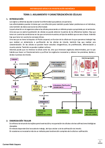 METODOLOGIA-BASICA-TODO-CARMEN-NIETO.pdf