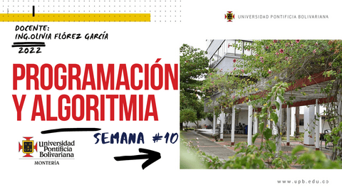 2022-PROGRAMACION-SEMANA10-ciclo-FOR.pdf