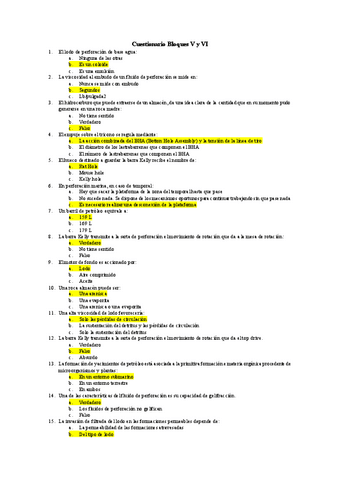 Cuestionario-Bloques-V-y-VI.pdf