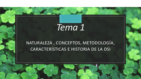 DSI-TEMA-1-ENFERMERIA.pdf