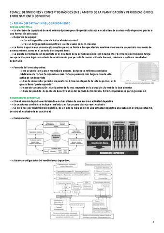 TEMA-1-PLANIFICACION.pdf