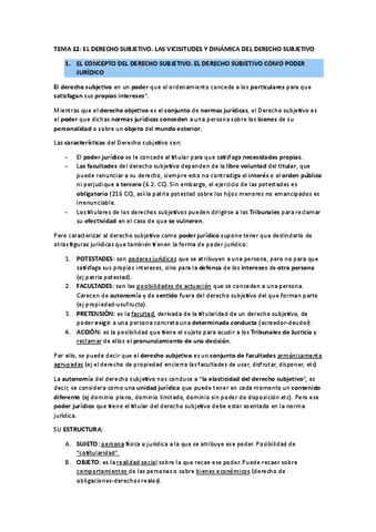TEMA-12.pdf