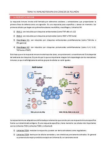 Tema-14-Inmunoterapia-en-cancer-de-pulmon.pdf