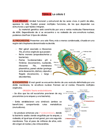 Tema-6-la-celula-I.pdf