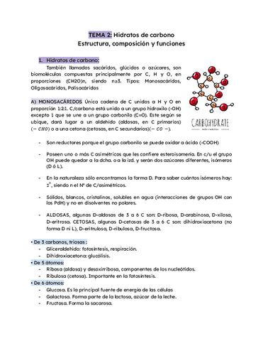 TEMA-2-HIDR-DE-CABONO.pdf