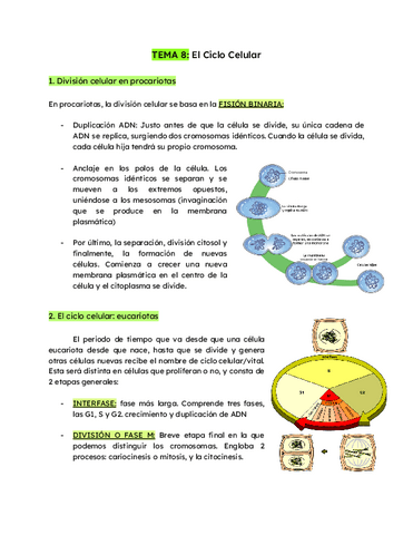 TEMA-8-El-Ciclo-Celular.pdf