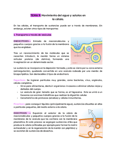 TEMA-9-Movimiento-del-agua-y-solutos-en.pdf