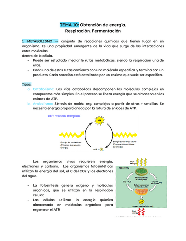 TEMA-10-Obtencion-de-energia.pdf