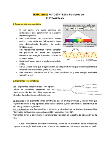 TEMA-11a-b-FOTOSINTESIS-1.pdf