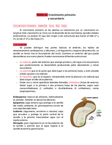 TEMA-13-Crecimiento-1o-2o.pdf