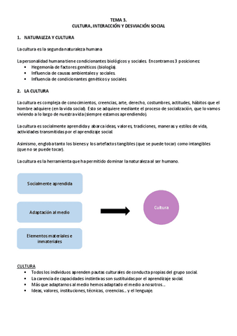 Sociologia.-TEMA-3.pdf