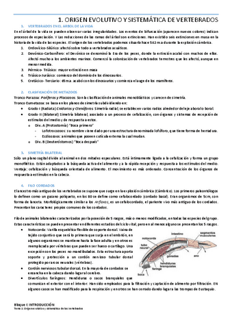 Tema-1-ORIGEN-EVOLUTIVO-Y-SISTEMATICA-DE-VERTEBRADOS.pdf