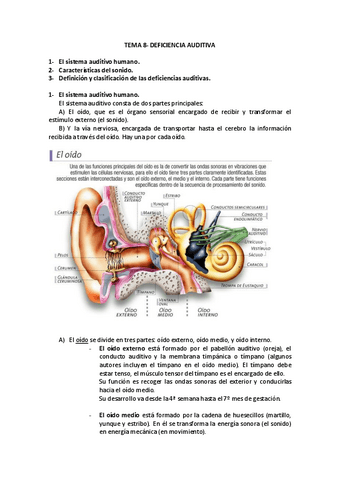 TEMA-8-DEFICIENCIA-AUDITIVA.pdf