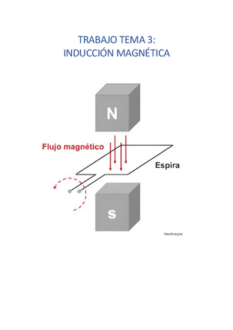 3.Investigacion-Induccion-Magnetica.pdf