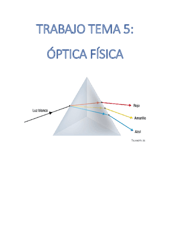 5.Investigacion-Optica-Fisica.pdf