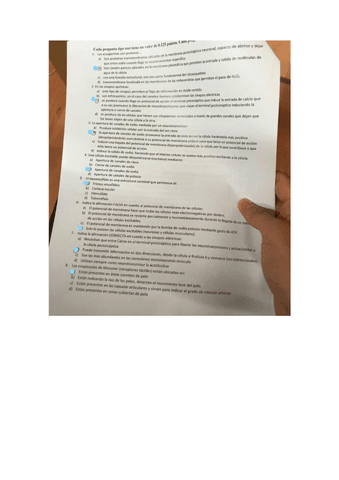 examen-fisio-2021.pdf