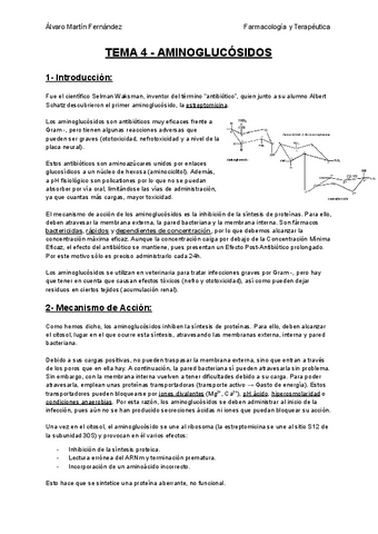 TEMA-4-AMINOGLUCOSIDOS.pdf