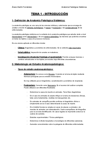 TEMA-1-INTRODUCCION.pdf