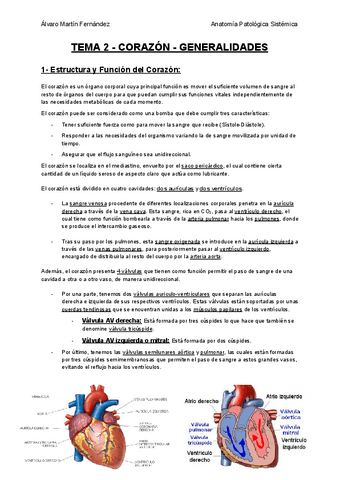 TEMA-2-CORAZON-GENERALIDADES.pdf