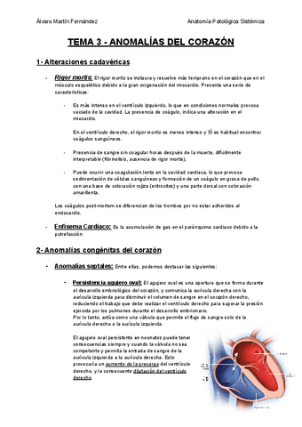 TEMA-3-ANOMALIAS-DEL-CORAZON.pdf