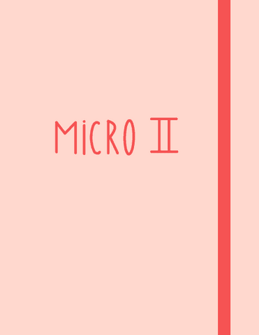 MICRO-II.pdf