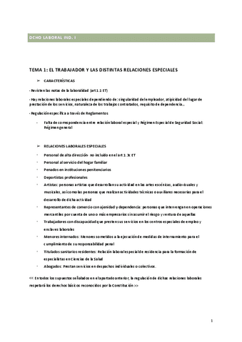 APUNTES-DCHO-LABORAL.pdf
