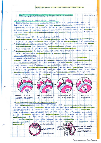 TEMA-1-EMBRIOLOGIA.pdf