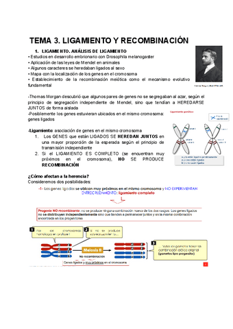 TEMA-3.-LIGAMIENTO-Y-RECOMBINACION.pdf