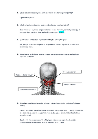 200-preguntas-tipo-examen.pdf