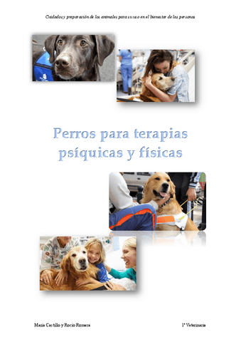 Perros-para-terapias-psiquicas-y-fisicas.pdf