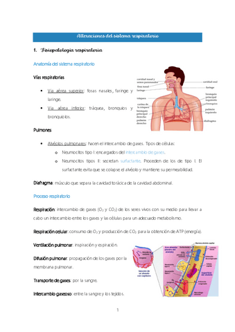 Tema-2.-Alteraciones-del-sistema-respiratorio.pdf