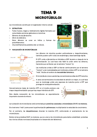 TEMA-9-Biologia-celular.pdf