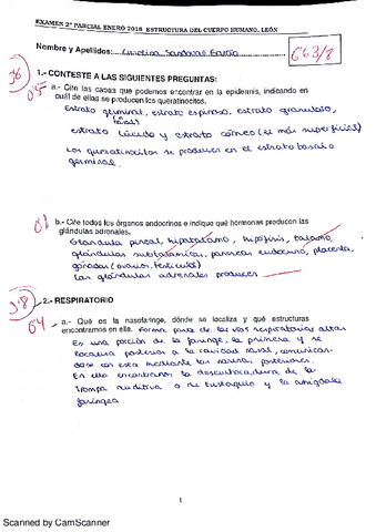 Examen 2º Parcial Estructura del Cuerpo Humano.pdf