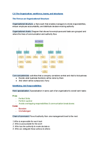 C.8-The-organization-workforce-teams-and-structures.pdf