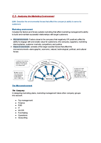 C.3-Analysing-the-Marketing-Environment.pdf