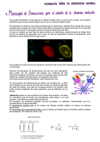 Tema-4-metodologia.pdf